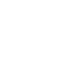 פרסום מידע על התנאים למתן רישיון עסק ותהליך הרישוי למבקשי רישיון עסק