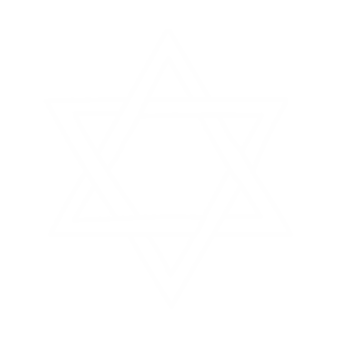 שירותי דת נוספים